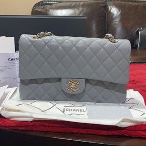 Chanel irredescent double flap bag